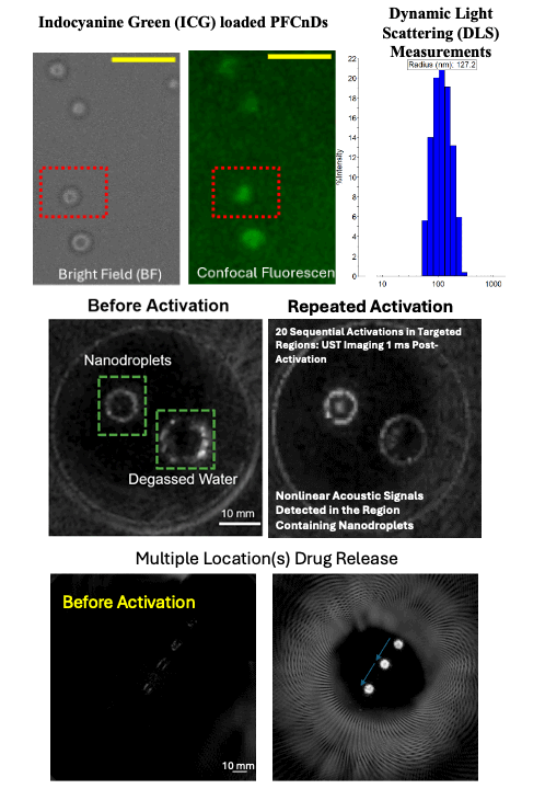 qUST-guided rapid drug testing and multidrug microdosing in solid tumors